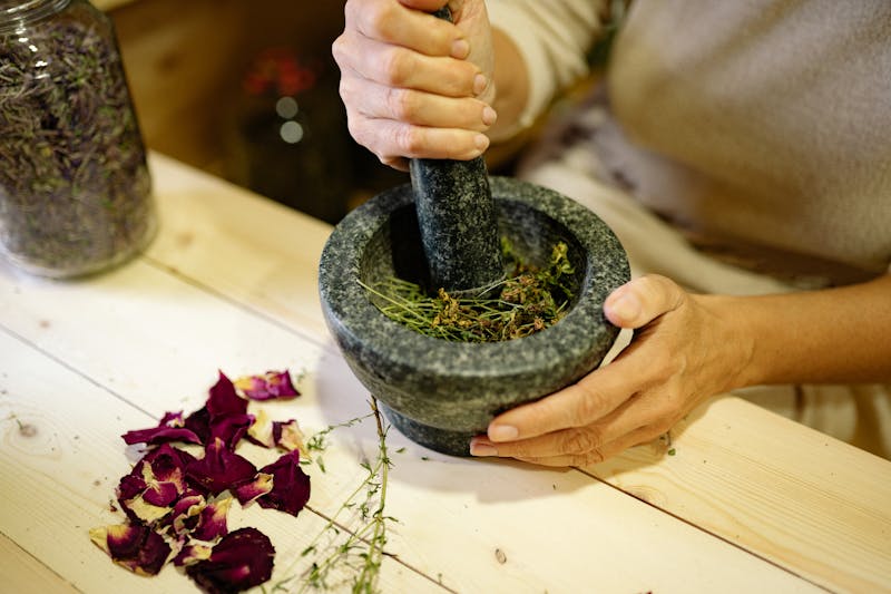 中医药材与传统制剂