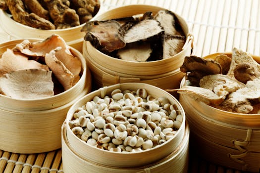 中药材辨识学习
