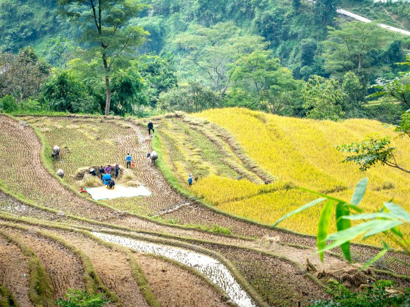 2026年各省师承出师考核报名时间汇总表：已公布省份和待公布省份完整清单